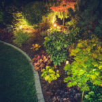 Illuminated Backyard Garden. Night Time Photo. Outdoor Garden Lighting.