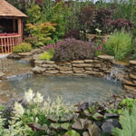 Water Features in Yard