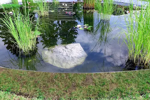 Reflective outdoor water pond