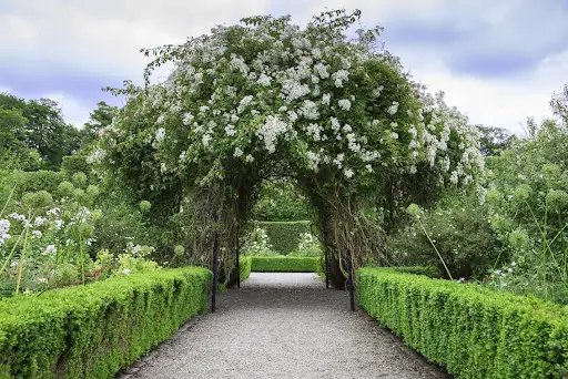 Metal Garden Arch Trellis