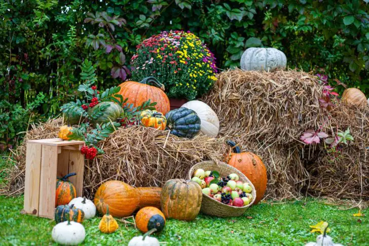 Fall Decor With Hay Bales The Ultimate Guide   Assortment Of Pumpkins Arranged On Hay Bales 728x486 