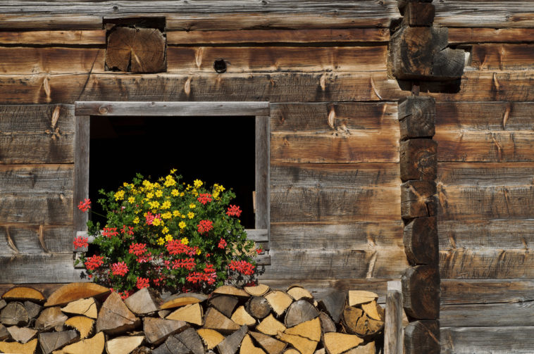 Traditional-wooden-barn-shed-with-firewood-stacked-outside-and-flowering-plant-on-top.