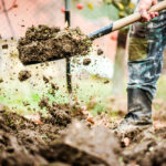 Person-digging-in-dirt-yard-with-metal-shovel.