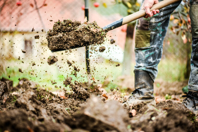 Person-digging-in-dirt-yard-with-metal-shovel.