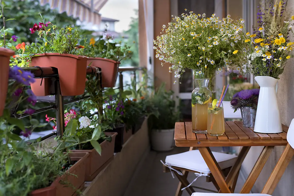 Relaxing balcony retreat with fresh flowers and potted plants on wooden table and railing