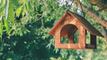 Wooden-bird-house-feeder-with-open-sides-hanging-from-tree-branch.