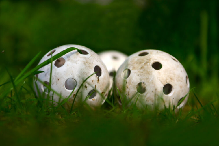 How to Make a Wiffle Ball Field In Your Yard