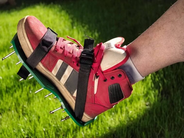 Aerator Shoes Our Top Picks and How to Use Them
