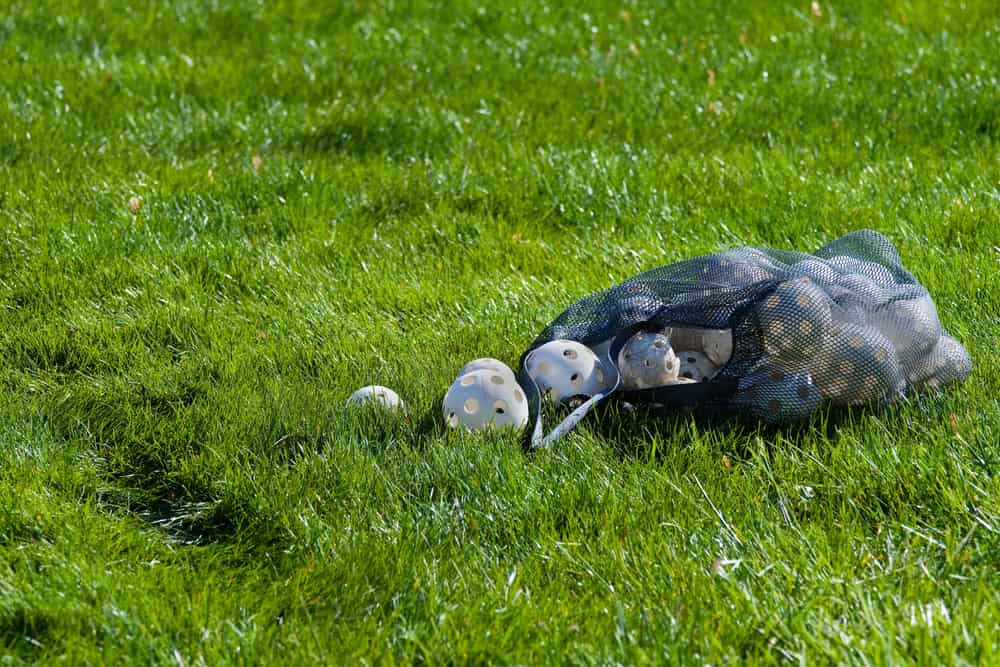 Mesh bag of wiffle balls sitting in grass