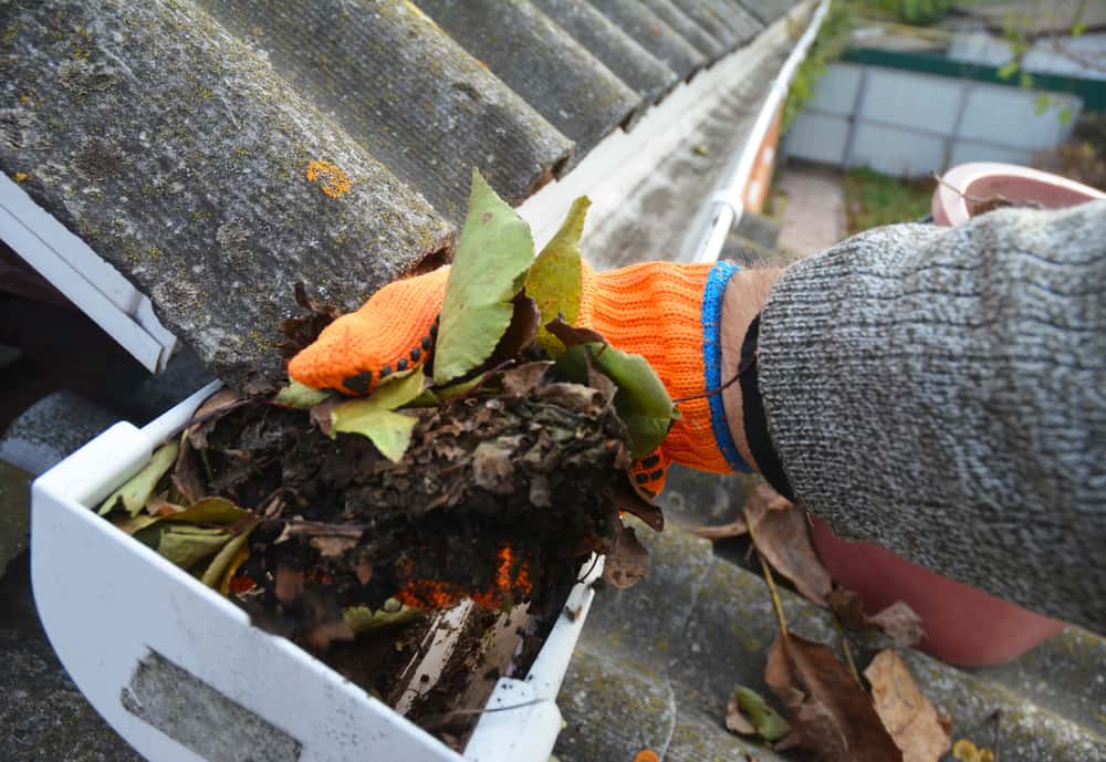 Person wearing gardening gloves pulling debris out of gutter