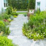 Stone walkway between houses surrounded by plants and greenery