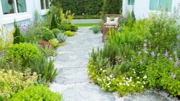 Stone walkway between houses surrounded by plants and greenery