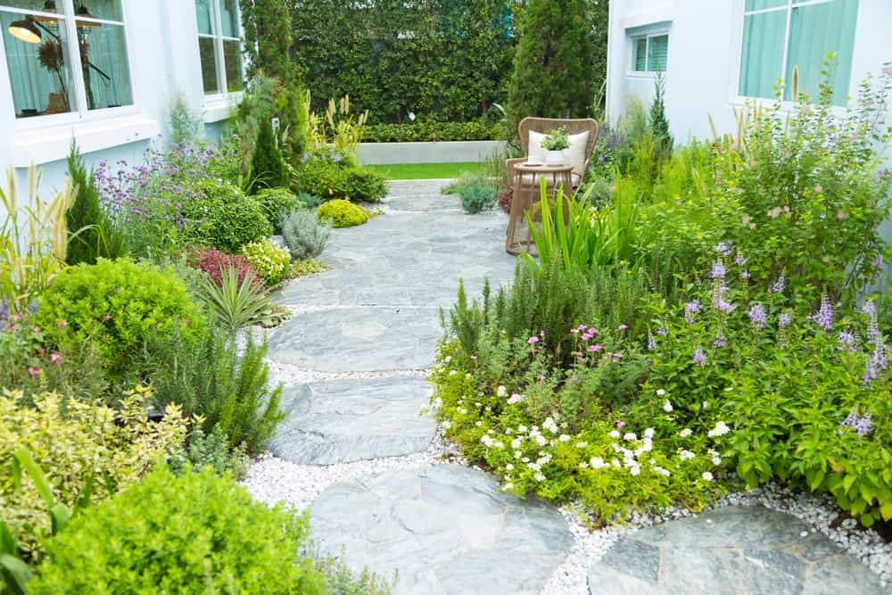 Stone walkway between houses surrounded by plants and greenery
