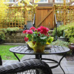 Backyard-patio-with-privacy-fencing.