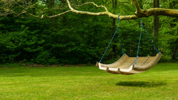 Large-wooden-swing-hanging-from-tree-branch