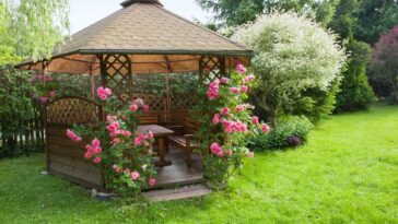 A-wooden-gazebo-with-pink-roses