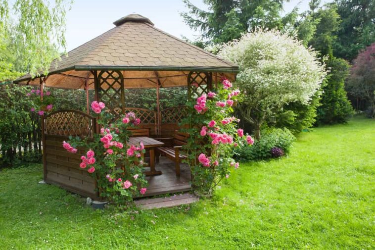 A-wooden-gazebo-with-pink-roses