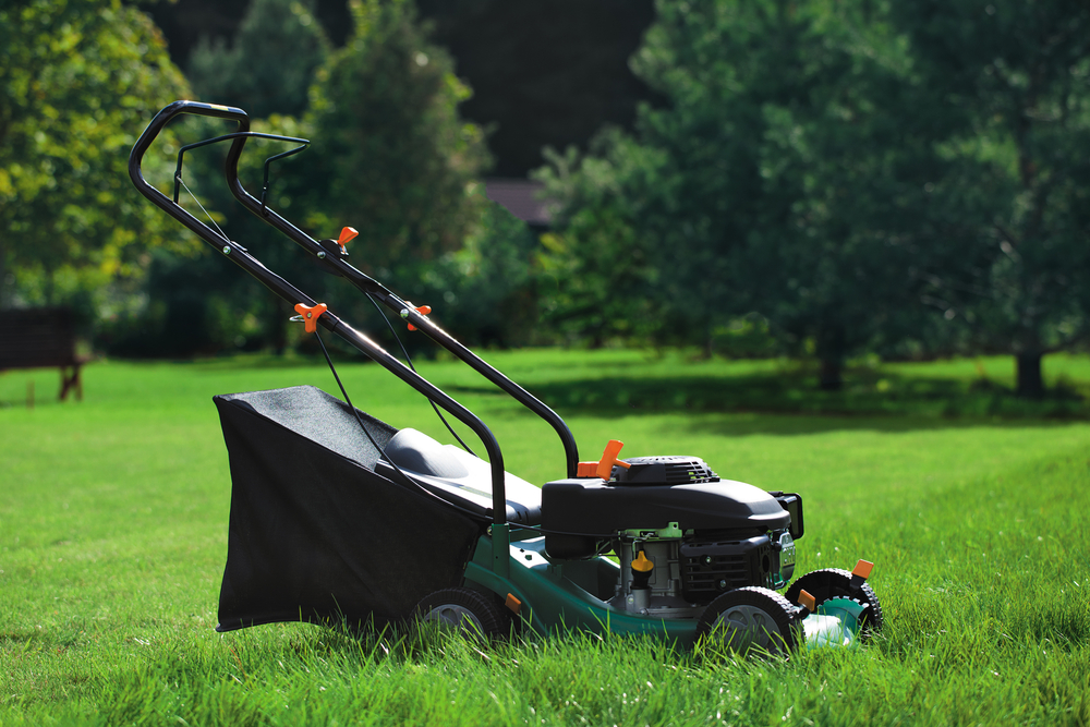 10 Best Gas Push Mower Options