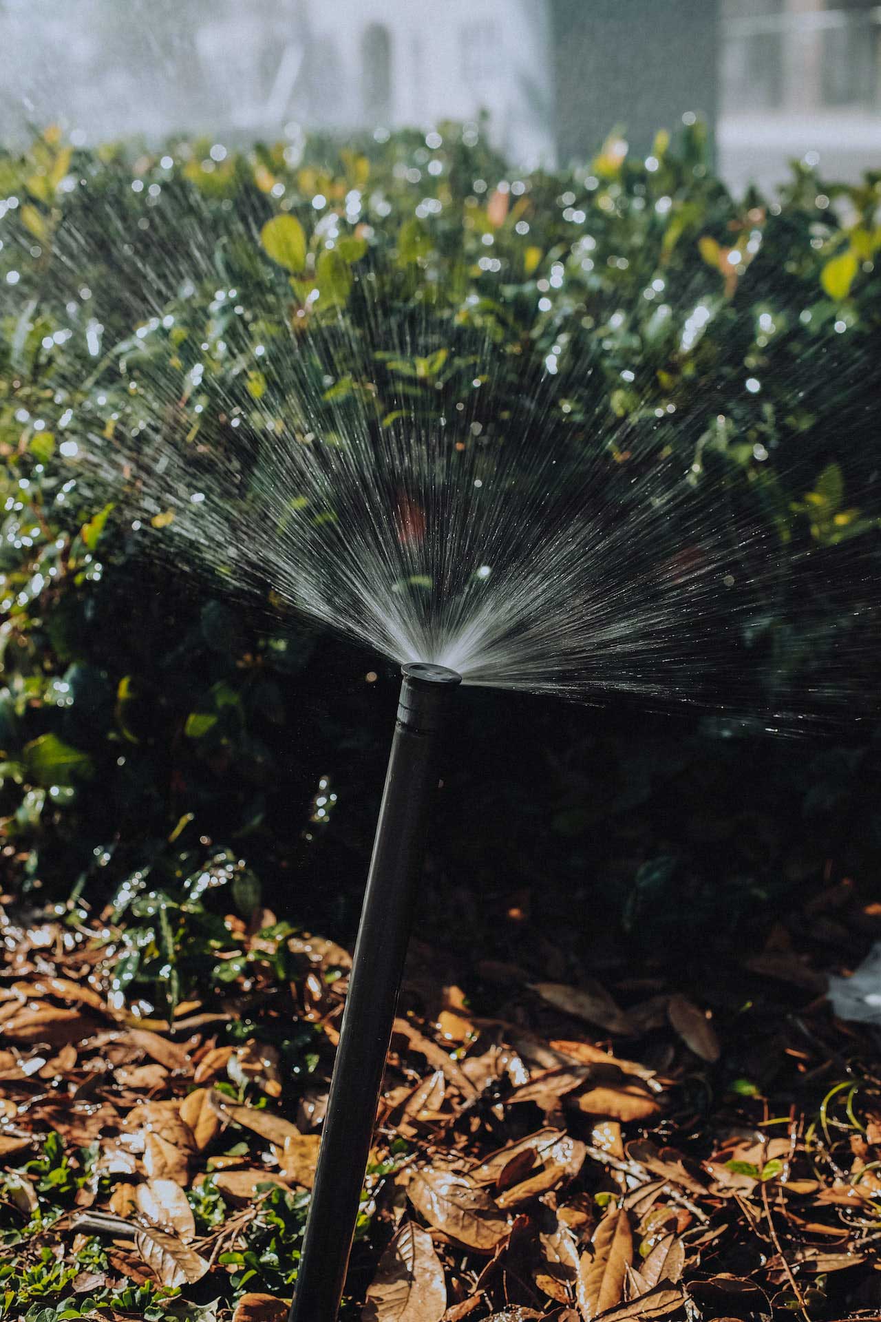 From Gardens To Global Market Changes The Rise Of Lawn Watering Equipment   Ultra Sprinkler1 